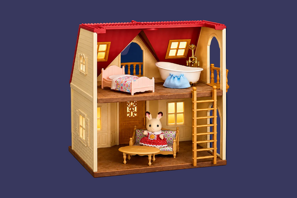 Dollhouse with Furnity