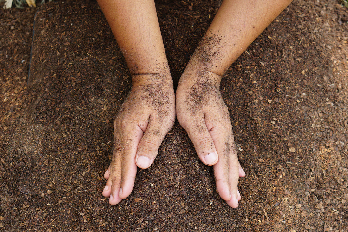 Soil lead testing