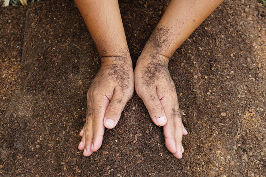 Soil lead testing